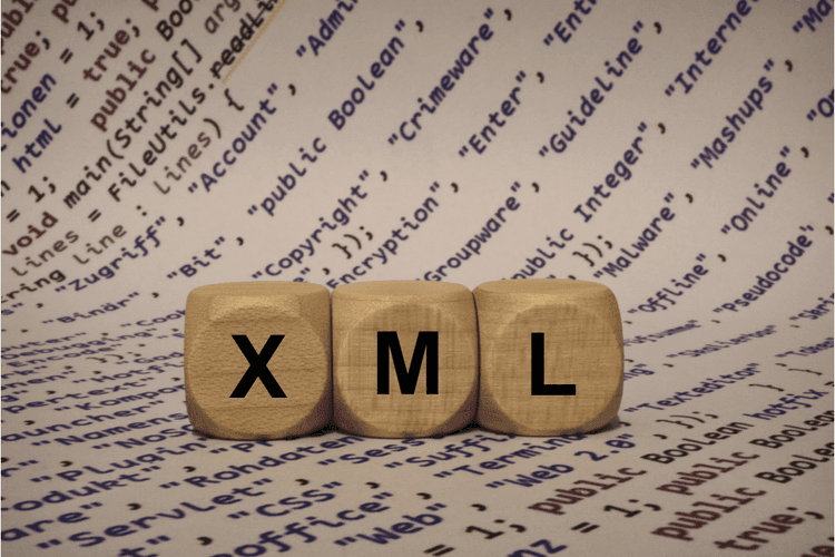 XML Bayilik Nedir? (XML Bayilik Veren Firmalar)